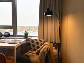 Schleiblick Schleswig
